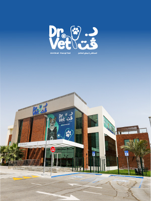 Dr Vet Animal Hospital