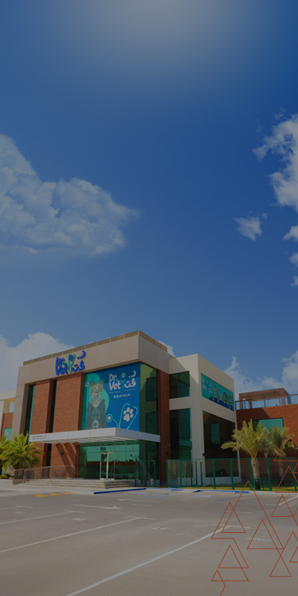 LEAD Projects Management